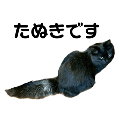 Pochi_20251107232345