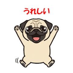 kopepan_20251108101824