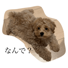 Jimmy_20251107171015