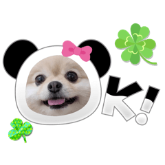 sakura_20251107220508