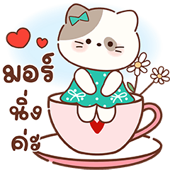 แคทเปอร์ สุดคิ้วท์ คนน่ารัก ใช้ได้ทุกวัน