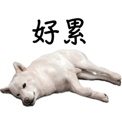 多多ı||ııı||ı|