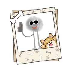 長腿小灰—速速回應短句