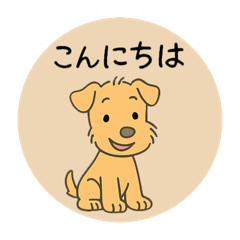 レークランドテリアのSANDYくん⭐︎