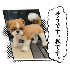 marumo_20251107214110