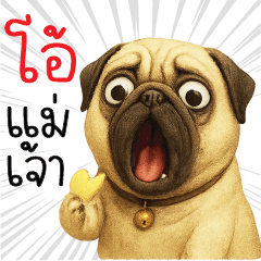 โอ๊ยยยย! ปวดหลัง!