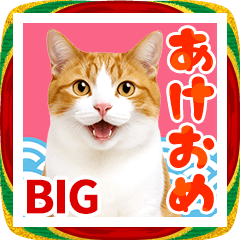 かわいい猫写真♪BIG お正月・年賀 2026
