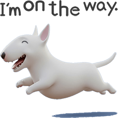 "White Bull Terrier" dog #1