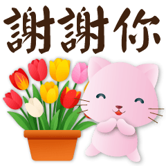 可愛粉粉貓*天天實用問候