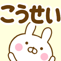 Rabbit Usahina kousei