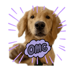 misaki_20251108115851