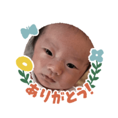 natsu_20251108121636