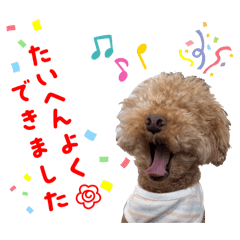 mocomommy_20251108123047