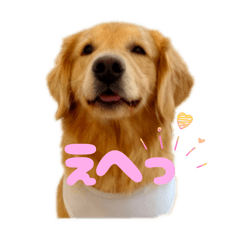 misaki_20251108130624