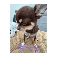 Arisa_20251108141203