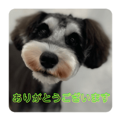 SHIHO_20251108151343