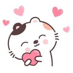 Meow Jaidee (No Words)