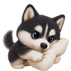 かわいいシベリアン (NT)