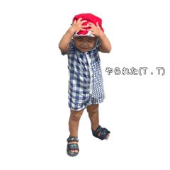 sunny_20251108101819