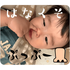 kinomi_20251108164005