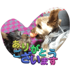 Isochan_20251108170512