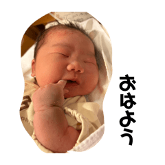 SACHI_20251108165635