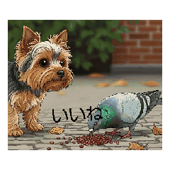 sugar_20251108155319