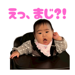 Hachi_20251108171335