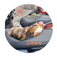 老公貼圖第一彈