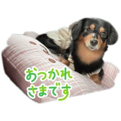 natsumi_20251108221122