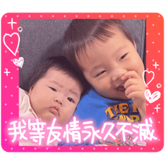 ringo_20251108173817