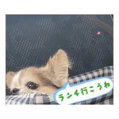 KAEKO_20251109081122