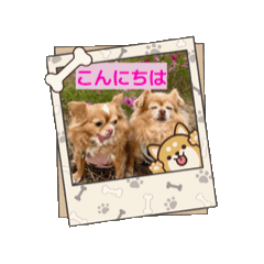 mikacchi_20251108232056