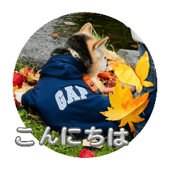 akiko_20251108175731