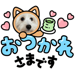 tamago_20251108184548