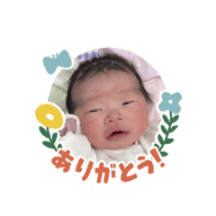 My Love My Love Melon