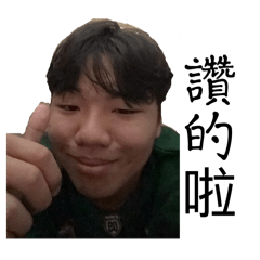 捕貓大隊(￣∇￣)