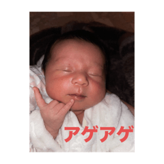 isami_20251108194610