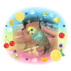 kaoru_20251108200152