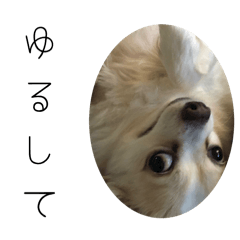 tonton_20251109084653