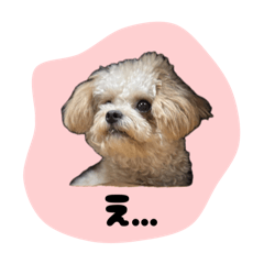 Be-_20251108222936