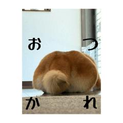 Mizuki_20251109010447