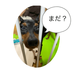 sorasan_20251108213411