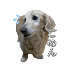 asukaaquaperry