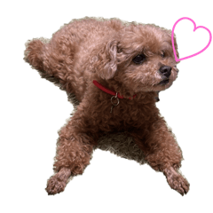 The greatest of all dogs