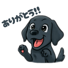 fleur_20251109023105