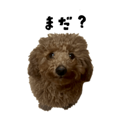 Ootamako_20251109112221