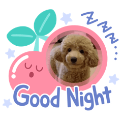 Sakura_20251109093439