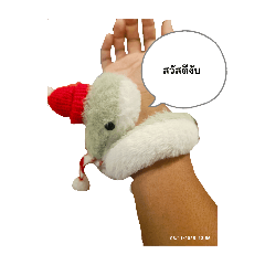 pusit_20251108150638