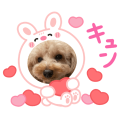 Marina_20251109143305